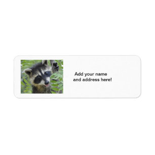 Étiquettes d'adresse de retour Raccoon