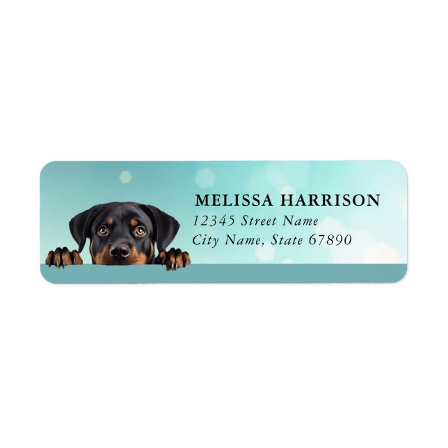 Étiquettes d'adresse de retour Rottweiler (Devant)