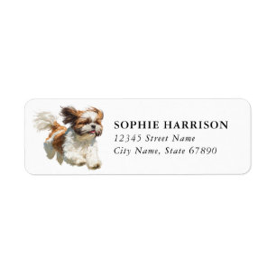 Étiquettes d'adresse de retour Shih Tzu