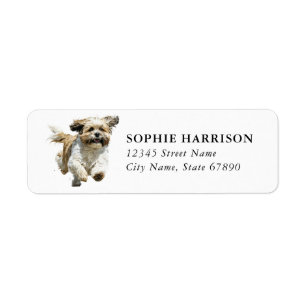 Étiquettes d'adresse de retour Shih Tzu