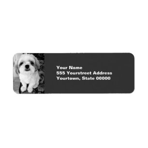 Étiquettes d'adresse de retour Shih Tzu