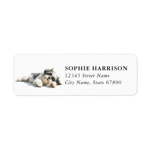 Étiquettes d'adresse de retour Shih Tzu