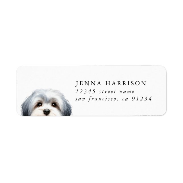 Étiquettes d'adresse de retour Shih Tzu (Devant)