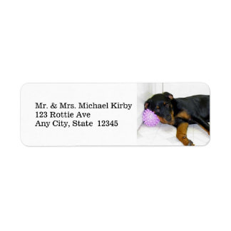 Étiquettes d'adresse de retour Sleepy Rottweiler