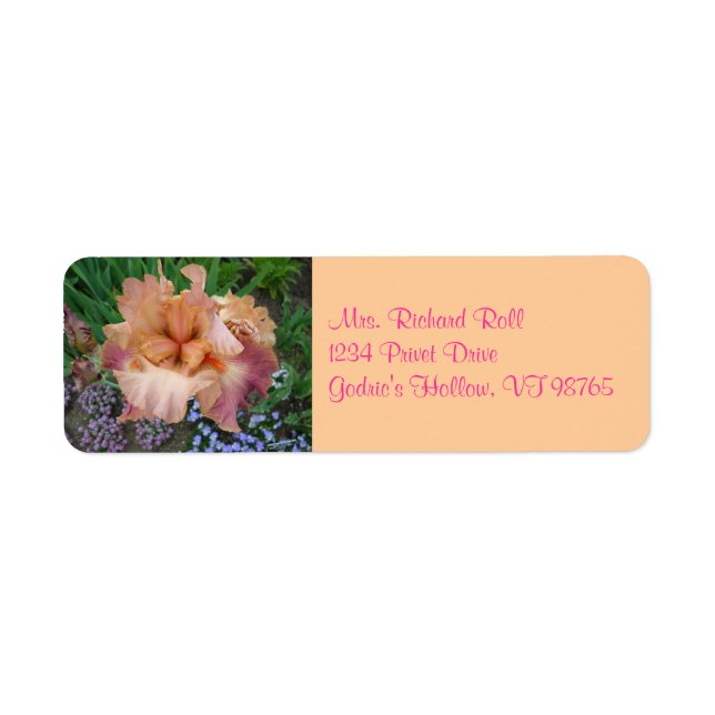 Étiquettes d'adresse de retour Sunset Iris (Devant)