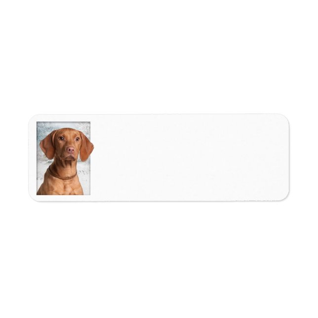 Étiquettes d'adresse de retour Vizsla (Devant)