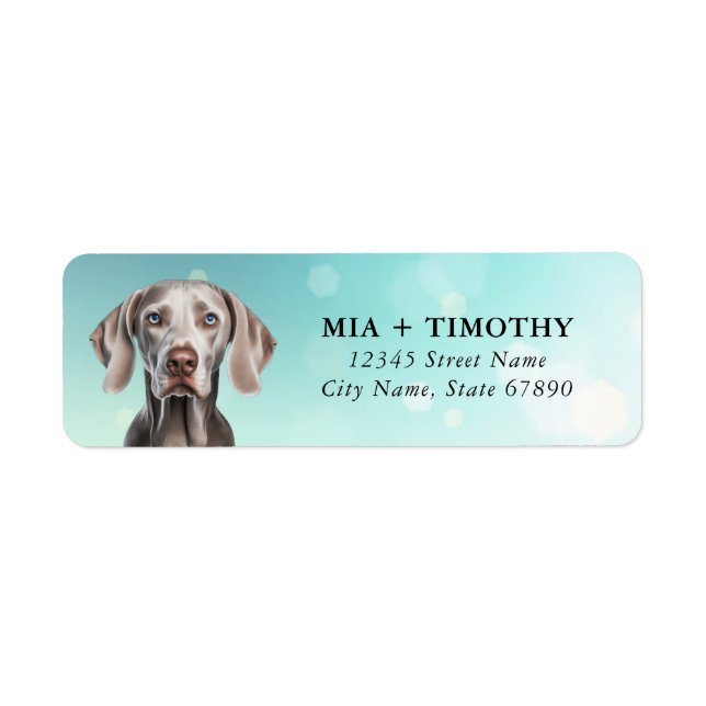 Étiquettes d'adresse de retour Weimaraner (Devant)