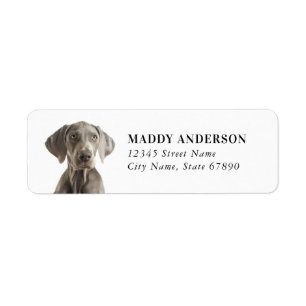 Étiquettes d'adresse de retour Weimaraner