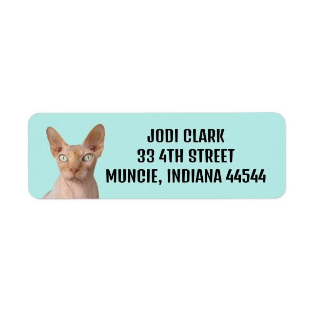 ÉTIQUETTES D'ADRESSE SPHYNX CAT (Devant)