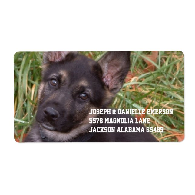 Étiquettes de adresse allemands de chiot (Devant)