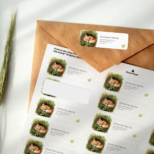 Étiquettes de adresse Baby shower de renard de béb