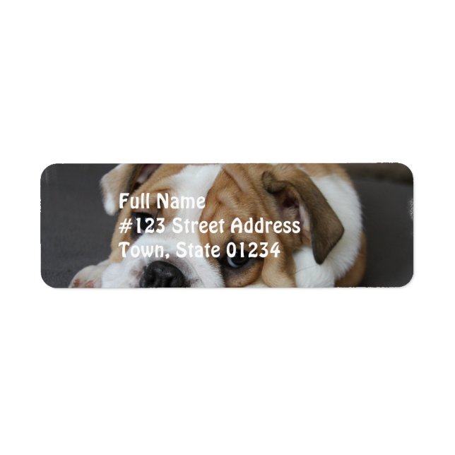 Étiquettes de adresse de Bulldog endormis (Devant)