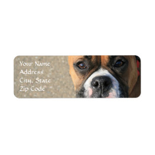 Étiquettes de adresse de chien de boxeur