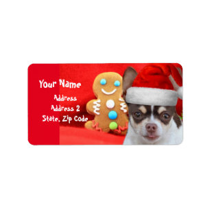 Étiquettes de adresse de chien de chiwawa de Noë