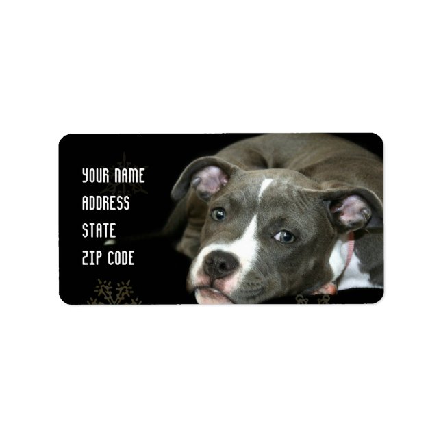 Étiquettes de adresse de chiot bleu (Devant)