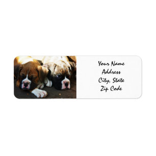 Étiquettes de adresse de chiots de boxeur