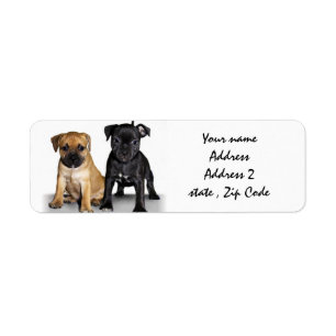 Étiquettes de adresse de chiots de bull-terrier d