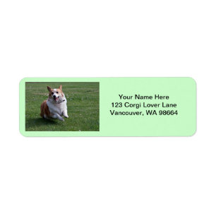 Étiquettes de adresse de corgi