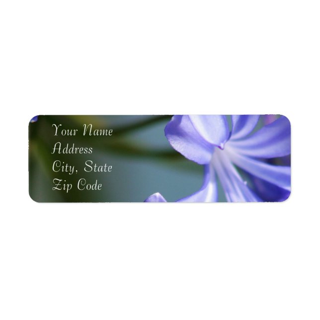 Étiquettes de adresse de fleurs d'Agapanthus (Devant)