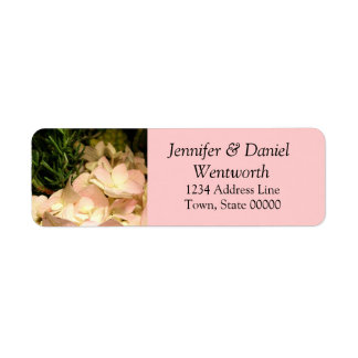 Étiquettes de adresse de fleurs rose Hydrangea
