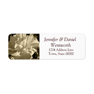 Étiquettes de adresse de fleurs Sepia Rose
