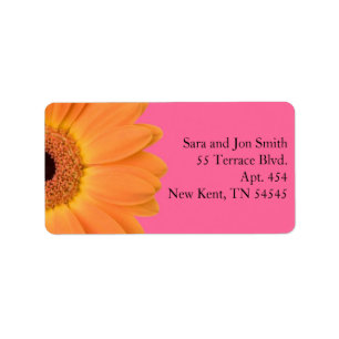 Étiquettes de adresse de la marguerite orange et r