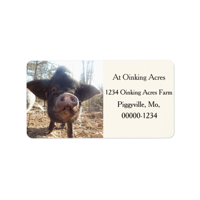 Étiquettes de adresse de mini-cochon noirs personn (Devant)