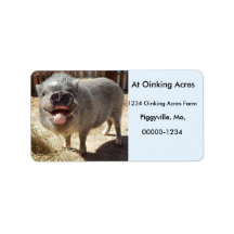 Étiquettes de adresse de mini-cochon souriants et