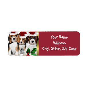 Étiquettes de adresse de Noël de beagle
