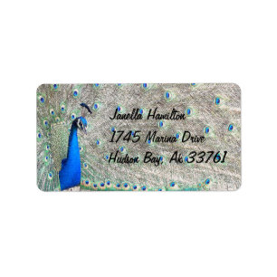 Étiquettes de adresse de paon