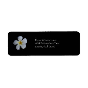 Étiquettes de adresse de retour de Plumeria