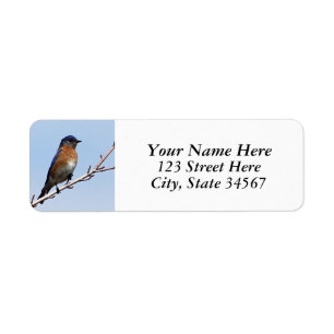 Étiquettes de adresse de retour d'oiseau bleu