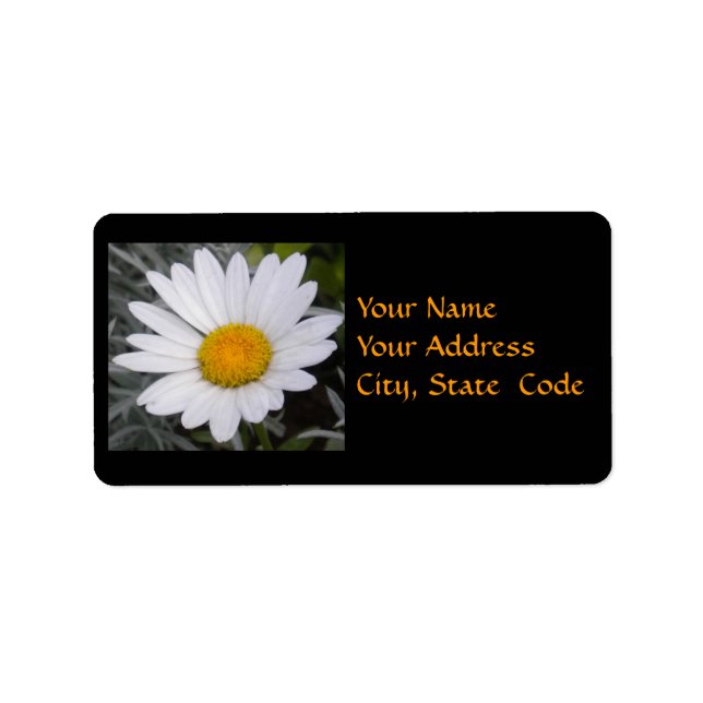 Étiquettes de adresse de Shasta Daisy (Devant)