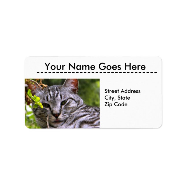 Étiquettes de adresse de tête de chat Tabby Argent (Devant)