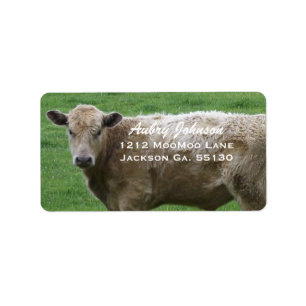 Étiquettes de adresse de vache