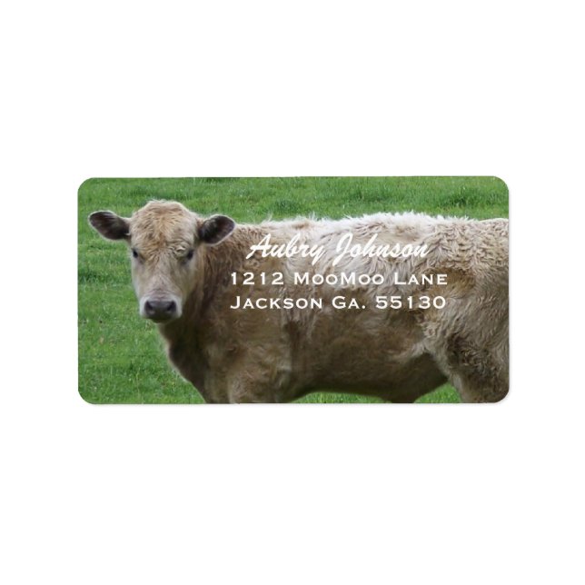 Étiquettes de adresse de vache (Devant)