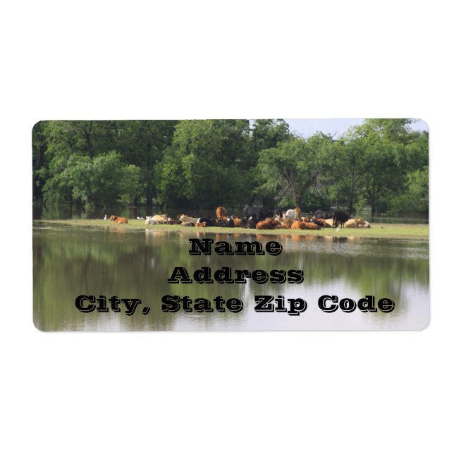 Étiquettes de adresse de vache (Devant)