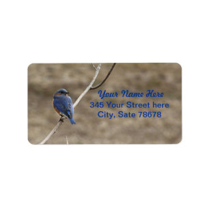 Étiquettes de adresse d'oiseau bleu