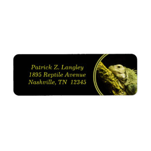 Étiquettes de adresse nobles de retour d'iguane