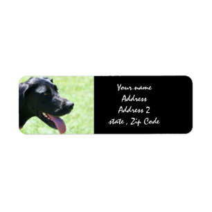 Étiquettes de adresse noirs de great dane