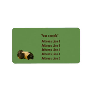 Étiquettes de adresse personnalisables de cobaye