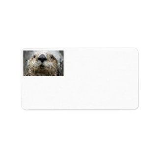 Étiquettes de adresse photo du visage de Sea Otter