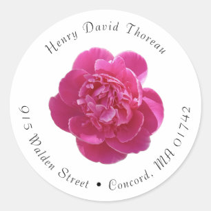 Étiquettes de adresse ronds de pivoine rose vibre