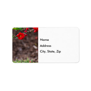 Étiquettes de adresse supérieurs