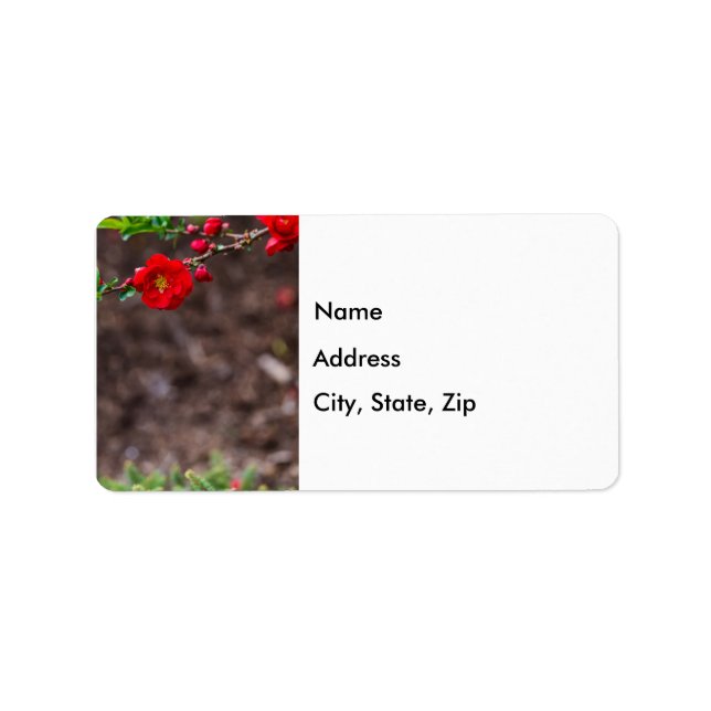 Étiquettes de adresse supérieurs (Devant)