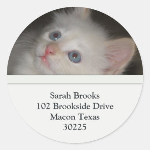 Étiquettes de adresse White Kitten