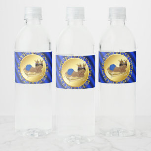 Étiquettes de bouteille d'eau pour Baby Shower Pri