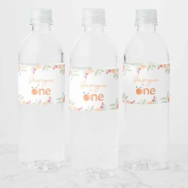 Étiquettes de bouteille d'eau pour le 1er annivers (Bouteilles)