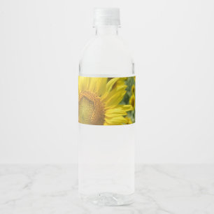 Étiquettes de bouteilles d'eau