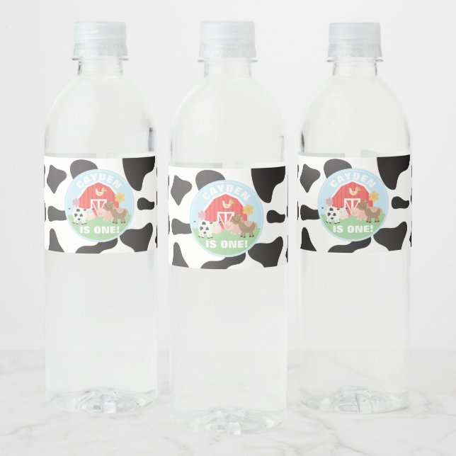 Étiquettes de bouteilles d'eau pour fête d'anniver (Bouteilles)